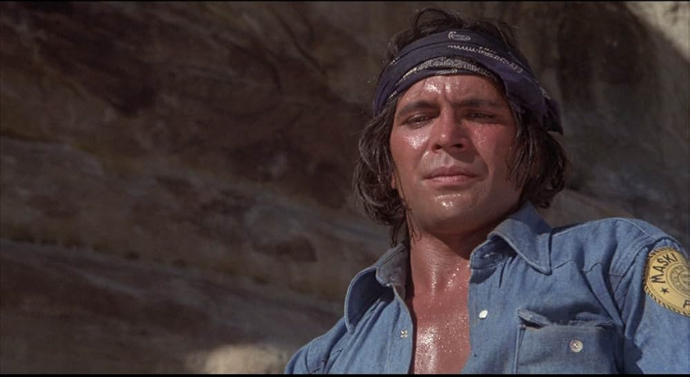 吸血こうもり／ナイトウィングの画像