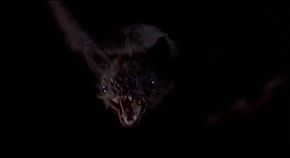 吸血こうもり／ナイトウィングの画像