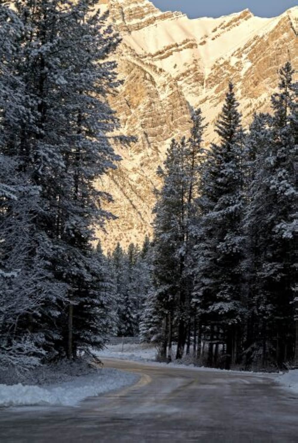 スノー・キス 白銀に輝く君の画像