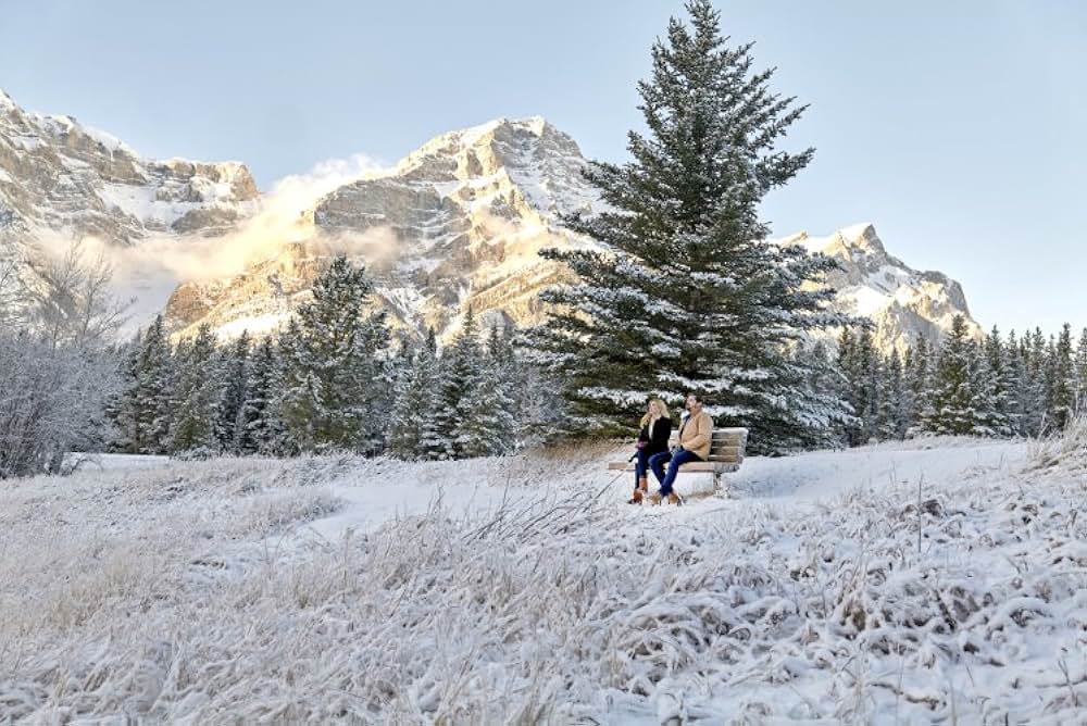 スノー・キス 白銀に輝く君の画像