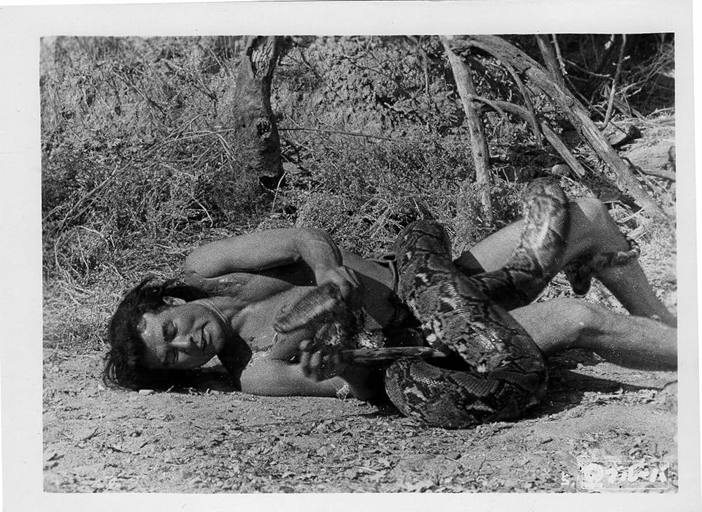 ブルーバの画像