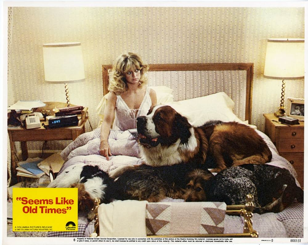 昔みたいの画像