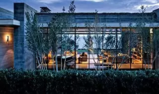 ノクターナル・アニマルズの画像