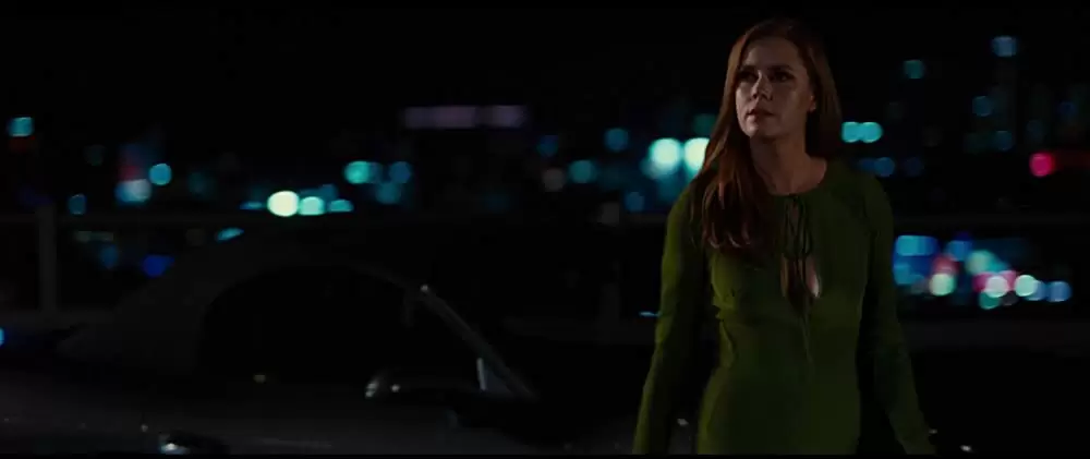 ノクターナル・アニマルズの画像