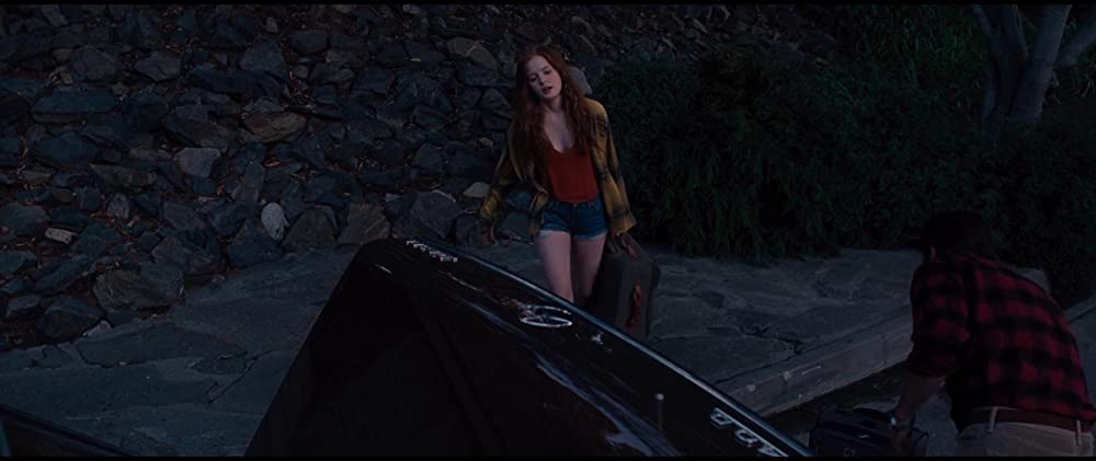 ノクターナル・アニマルズの画像