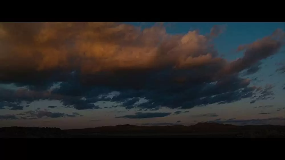 ノクターナル・アニマルズの画像