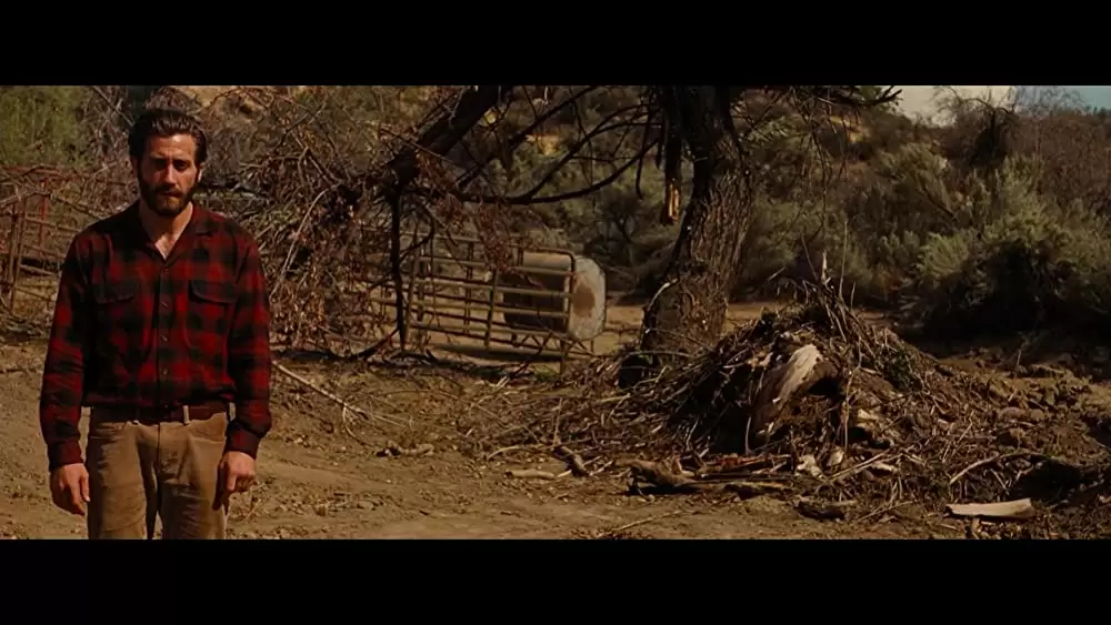 ノクターナル・アニマルズの画像