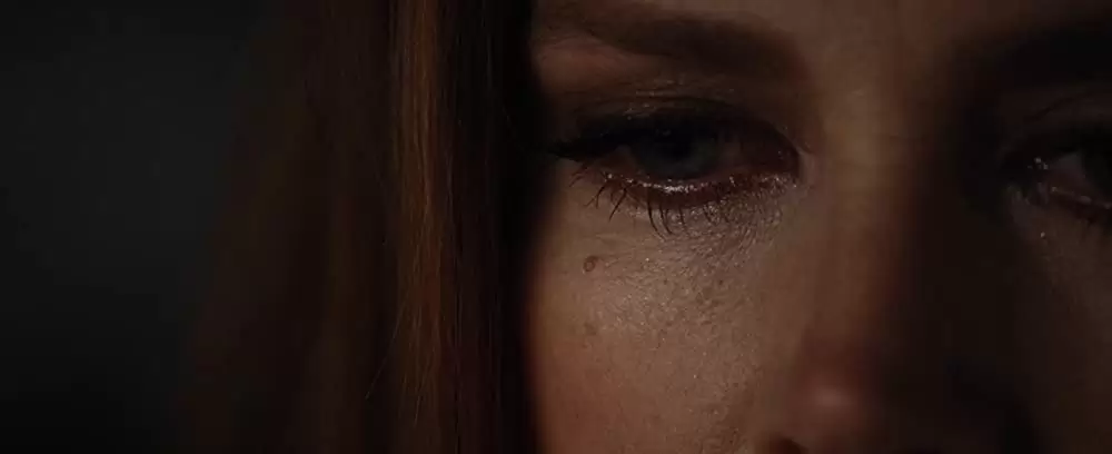 ノクターナル・アニマルズの画像