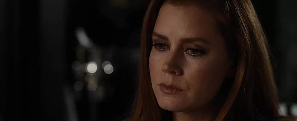 ノクターナル・アニマルズの画像