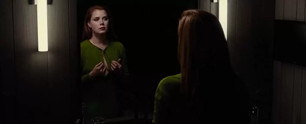 ノクターナル・アニマルズの画像