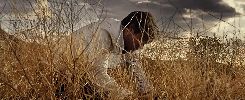 ノクターナル・アニマルズの画像