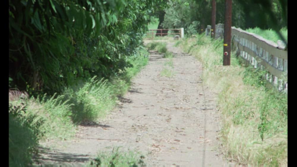 Full Body Massage（原題）の画像