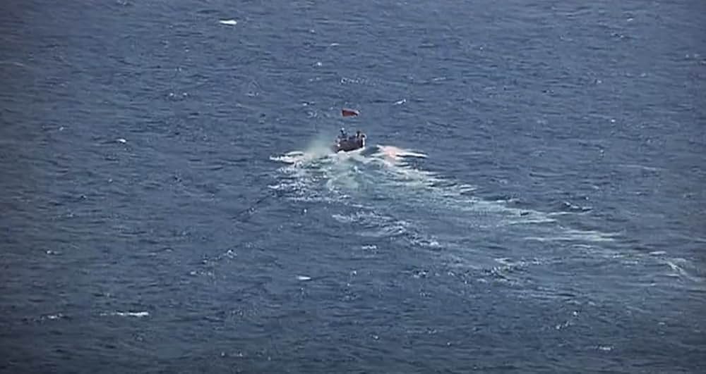 太陽を盗めの画像