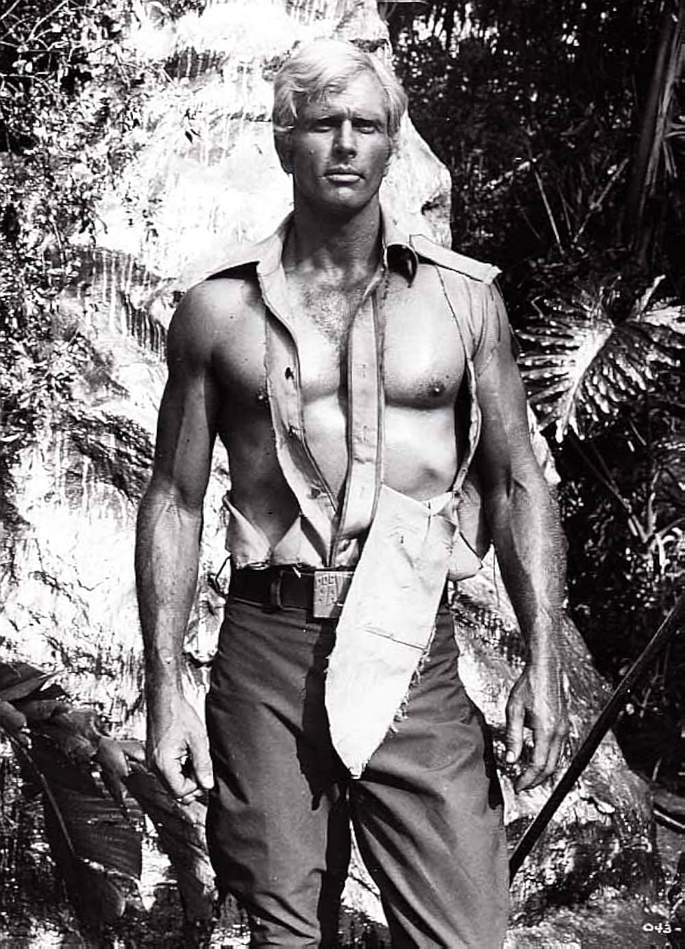 ドクサベージの大冒険の画像