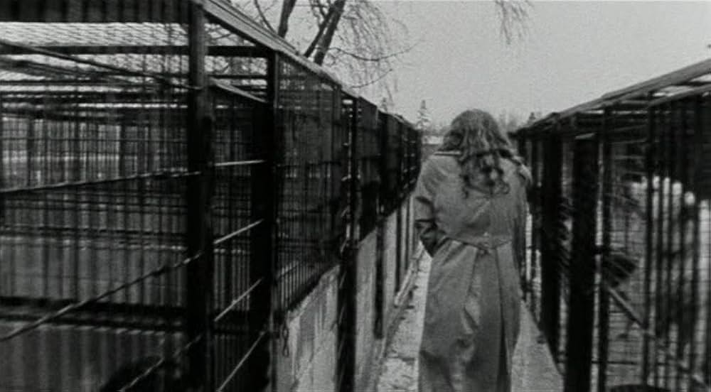 ロードキルの画像