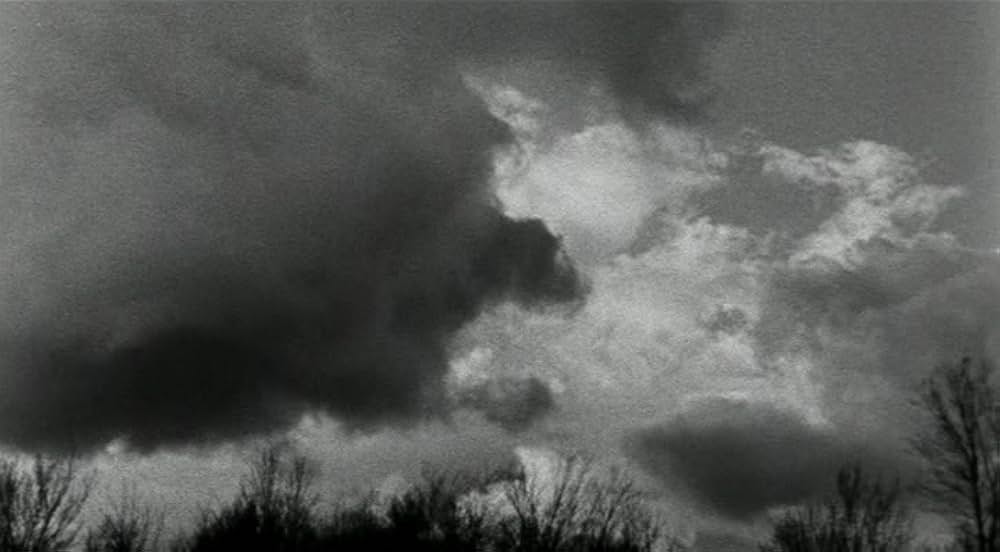 ロードキルの画像