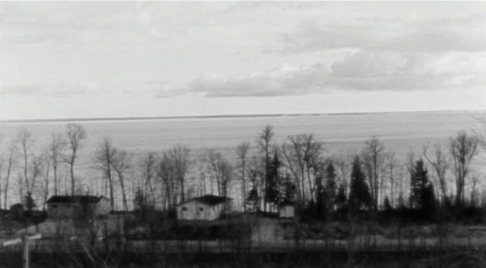 ロードキルの画像