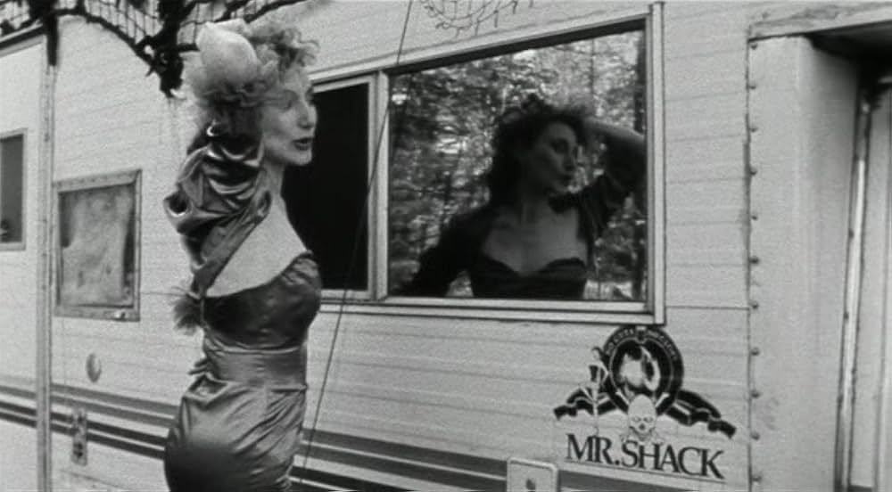 ロードキルの画像