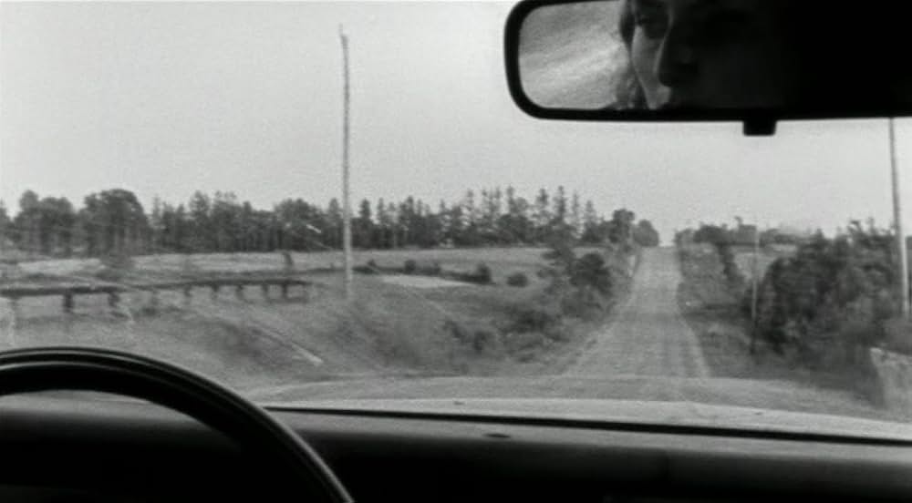 ロードキルの画像