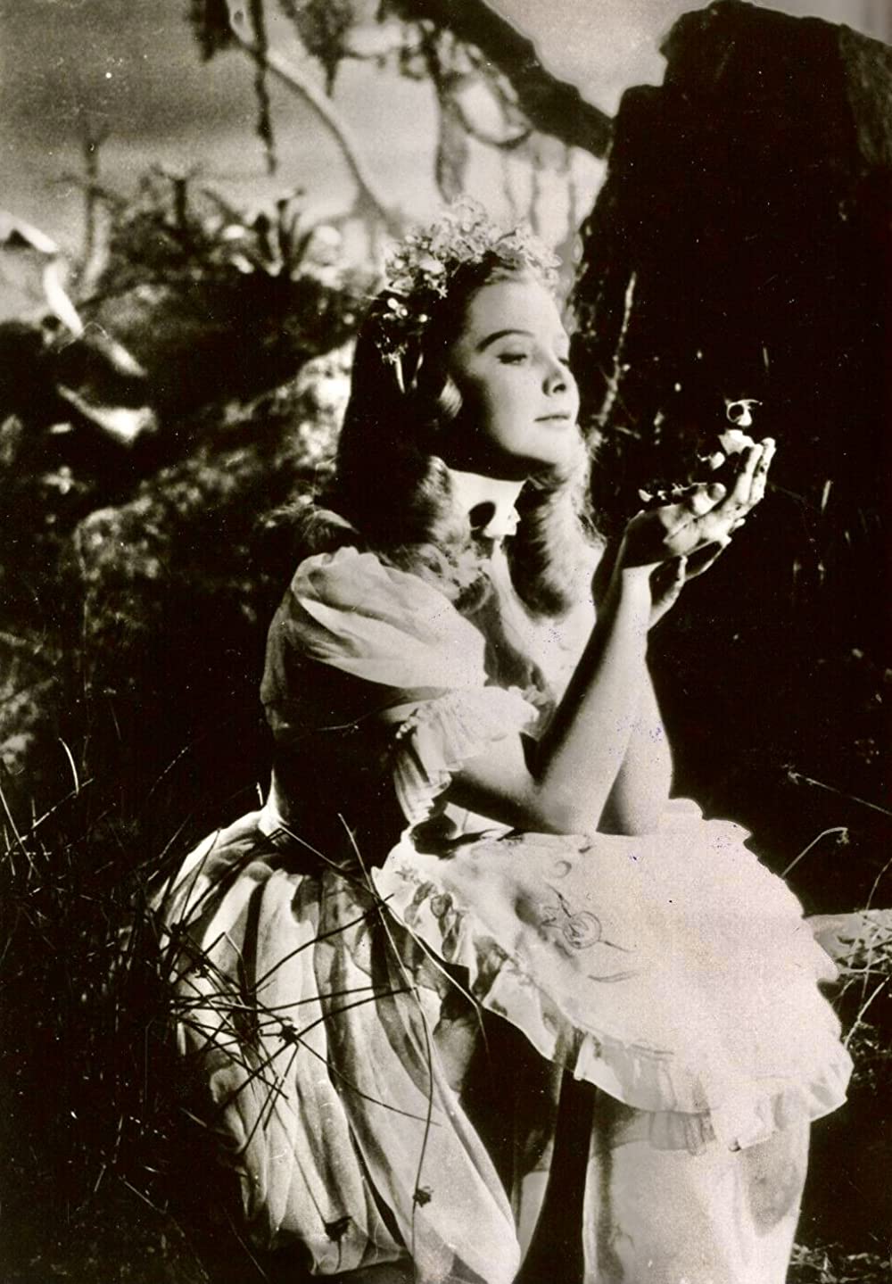 親指トムの画像