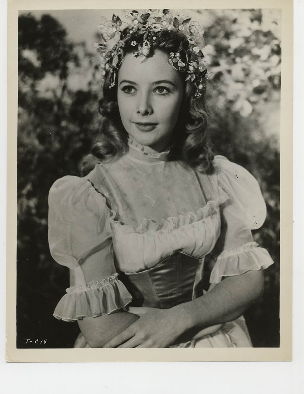 親指トムの画像