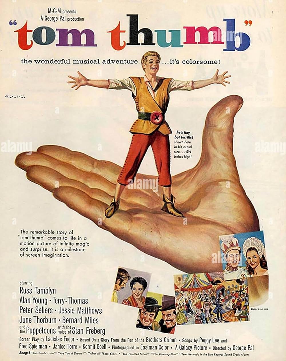 親指トムの画像