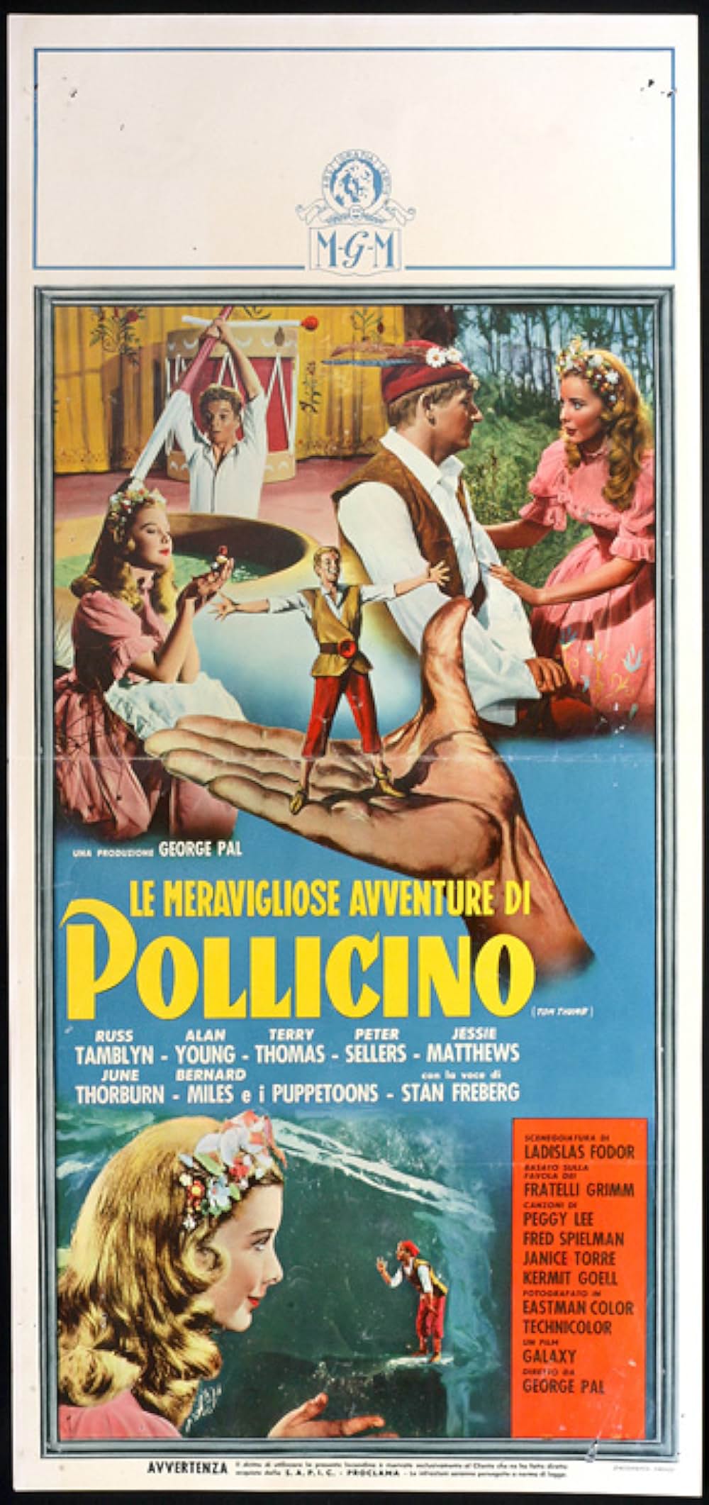 親指トムの画像