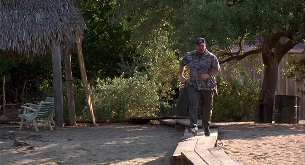 ホット・ネイビー／カリブ海イケイケ大作戦の画像