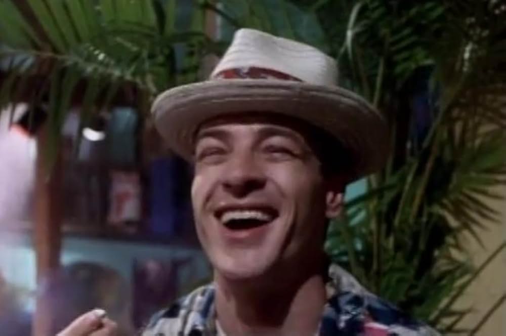 ホット・ネイビー／カリブ海イケイケ大作戦の画像