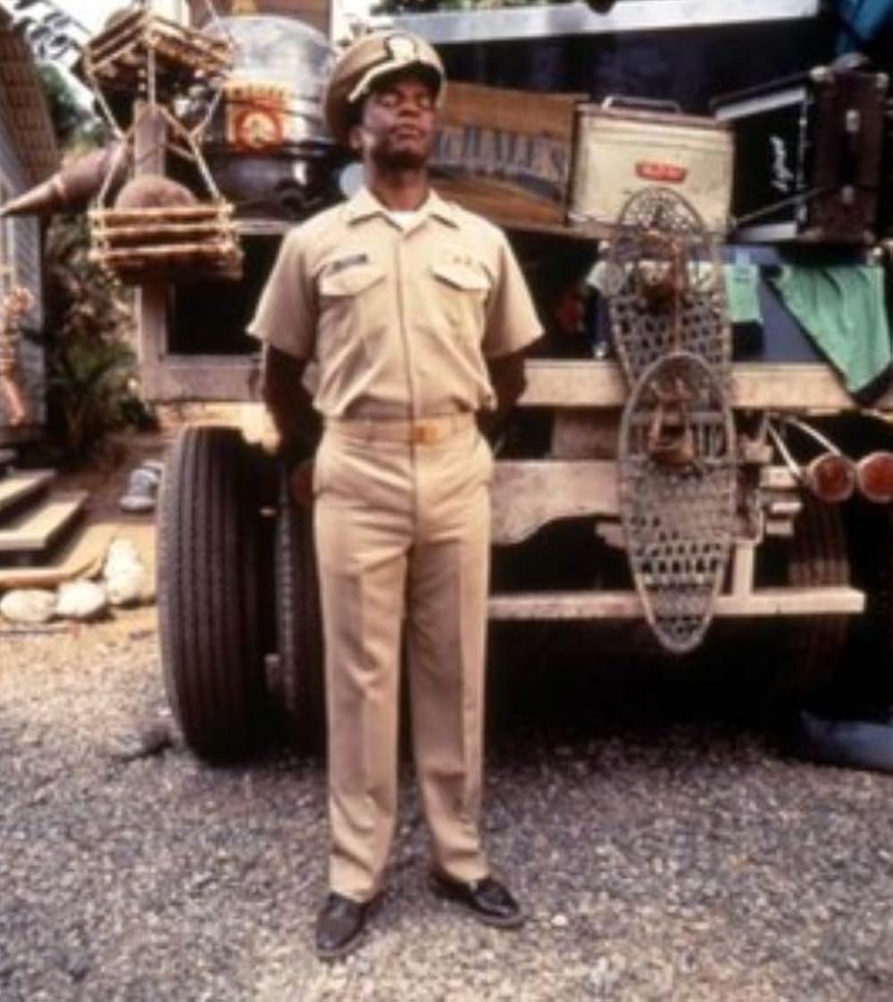 ホット・ネイビー／カリブ海イケイケ大作戦の画像