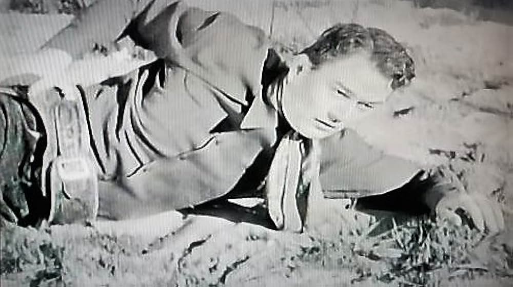 パラダイスキャニオンの画像