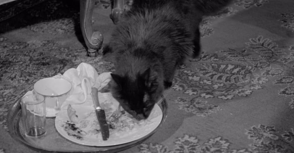 アトミック・ブレイン 大脳移植若返り法の画像