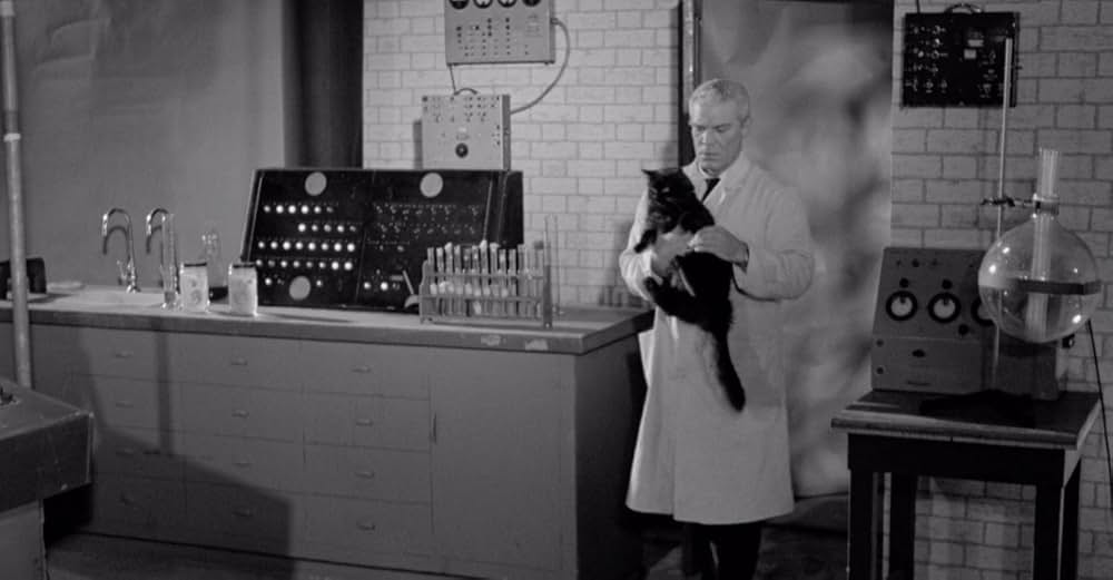 アトミック・ブレイン 大脳移植若返り法の画像