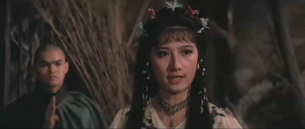 少林羅漢拳の画像