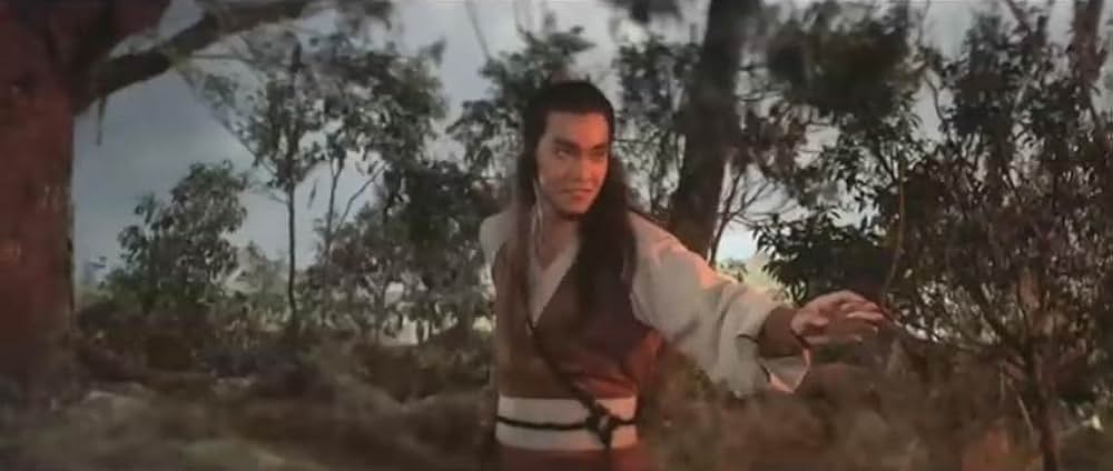 少林羅漢拳の画像