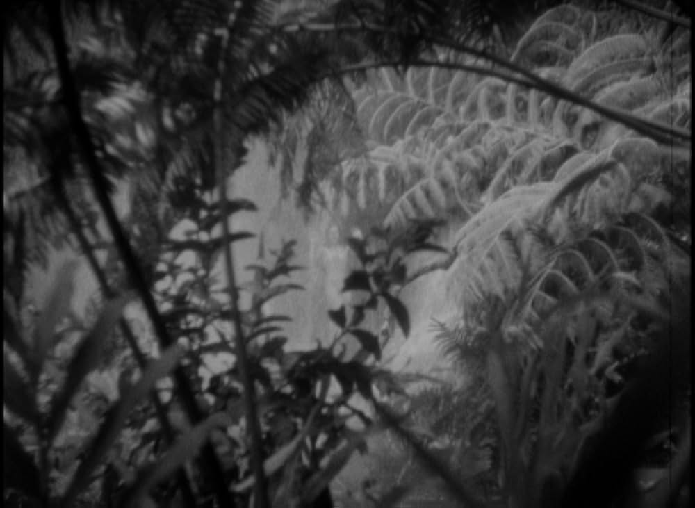 恐怖の四人の画像