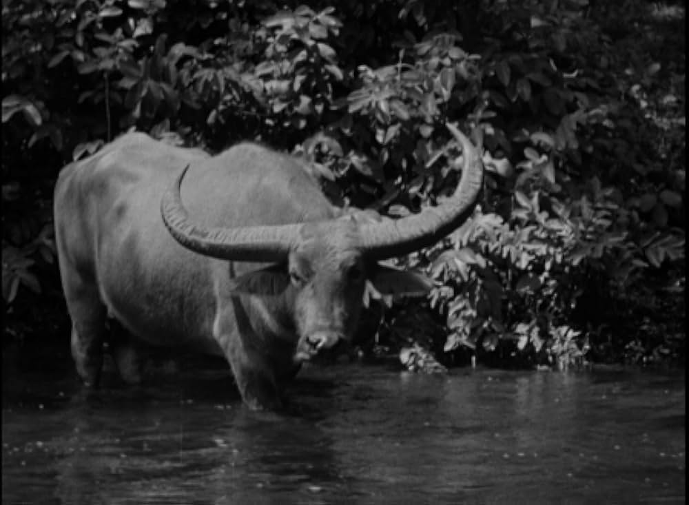 恐怖の四人の画像