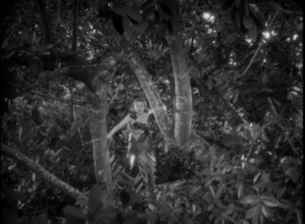 恐怖の四人の画像