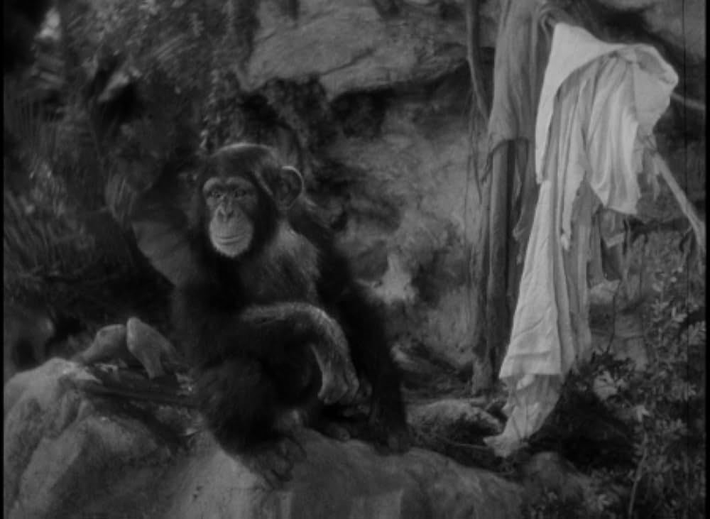 恐怖の四人の画像