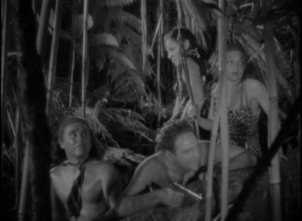 恐怖の四人の画像