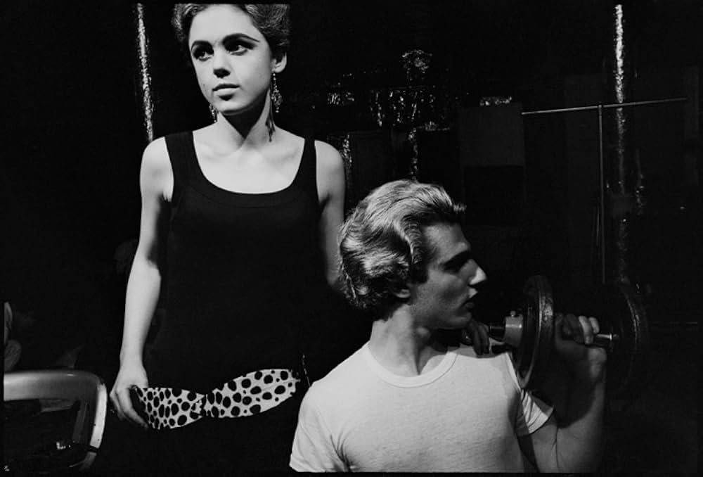 ヴィニールの画像