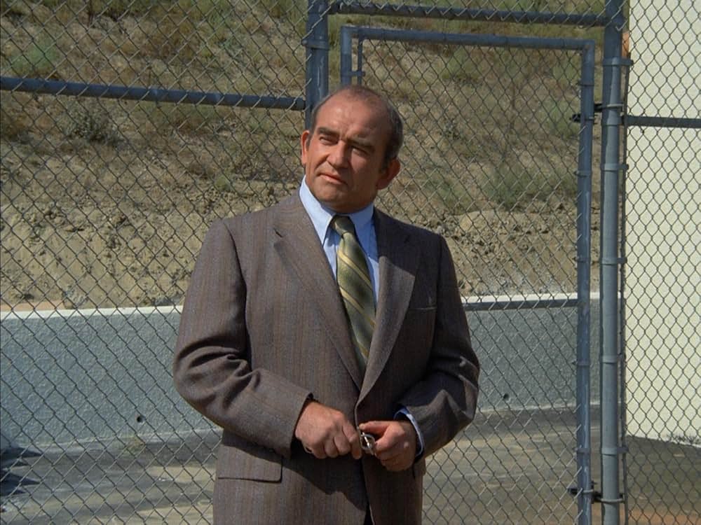 The Girl Most Likely to...（原題）の画像