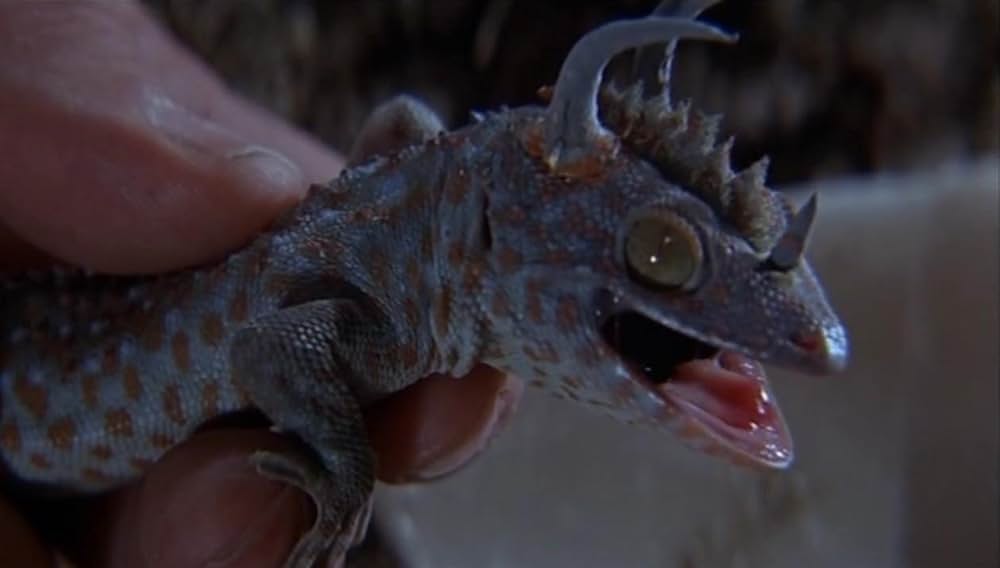 失われた世界の画像