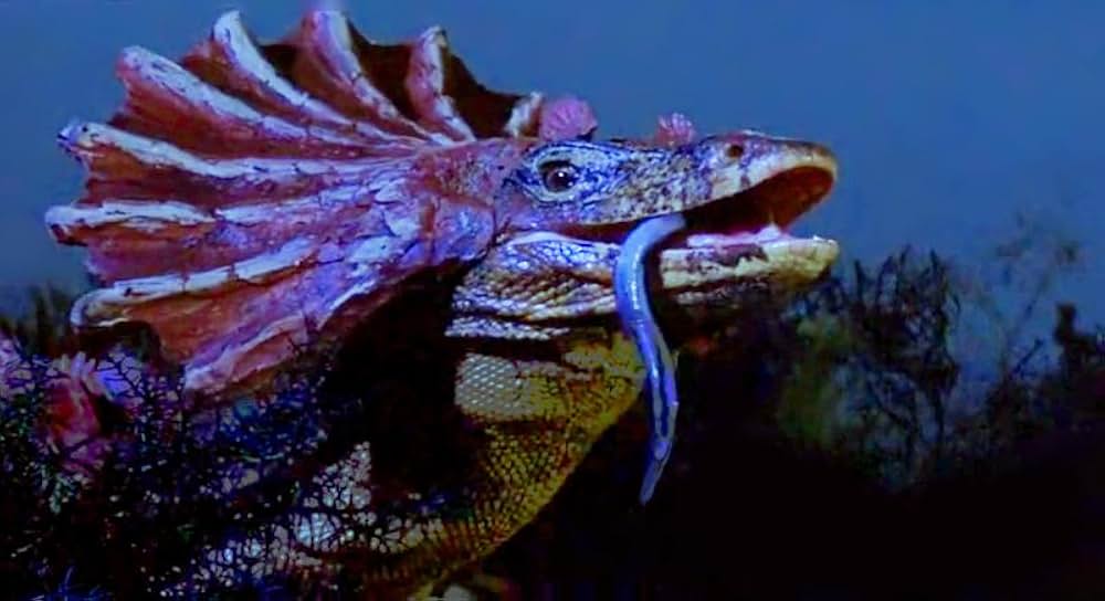 失われた世界の画像