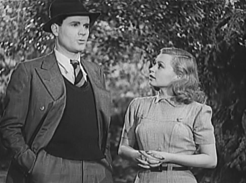 七つの錠のある扉の画像