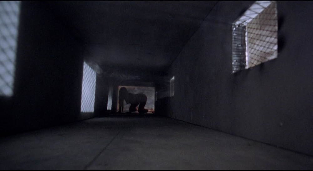 プリズン・エンジェル／女囚たちの夜の画像