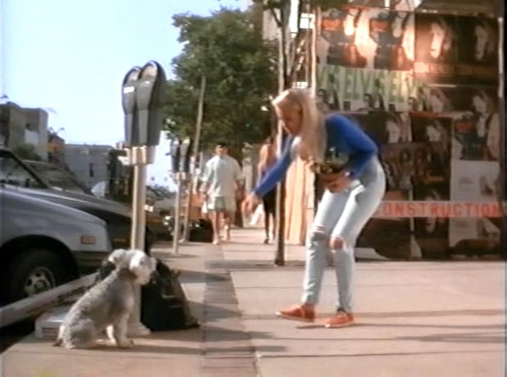 ファンキー・ヘッド／僕ってヘン?の画像