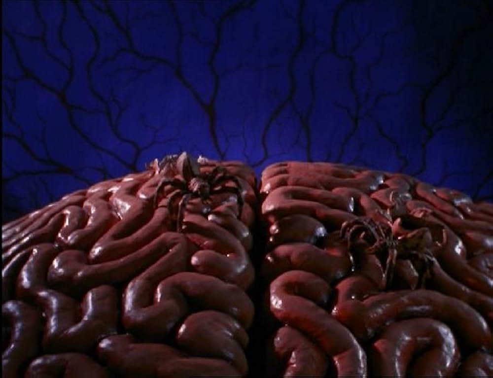 ファンキー・ヘッド／僕ってヘン?の画像