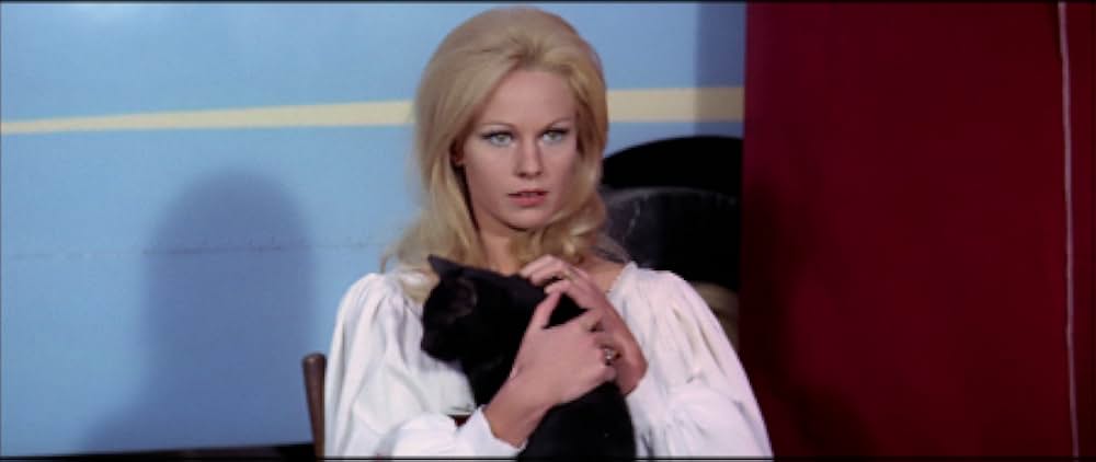 モンスター・パニック／怪奇作戦の画像