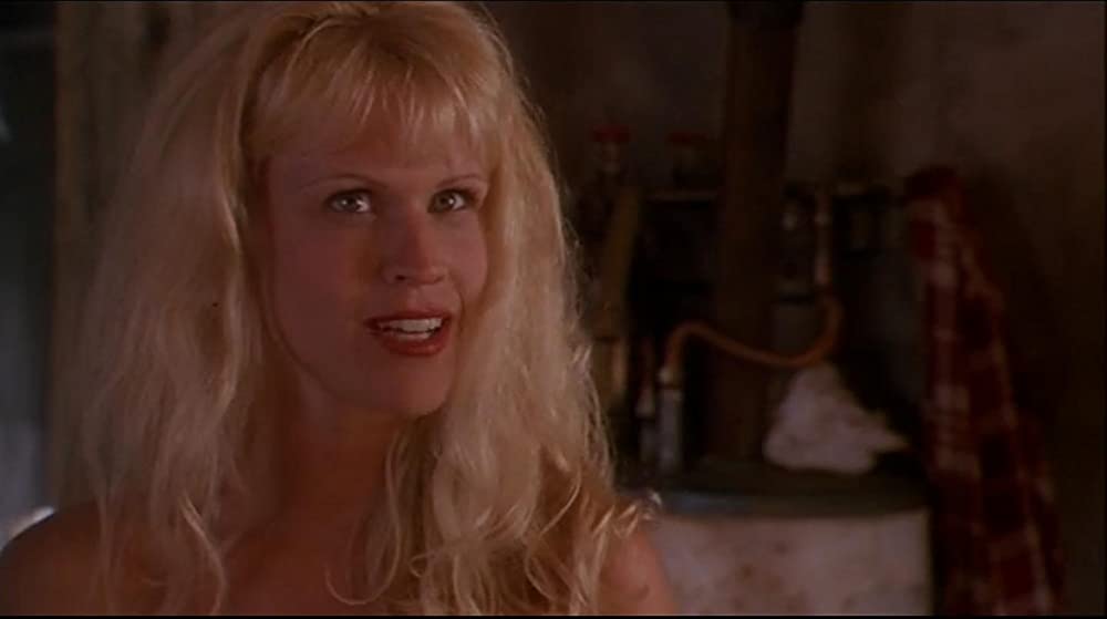 カウボーイ・ウェイ／荒野のヒーローN.Y.へ行くの画像